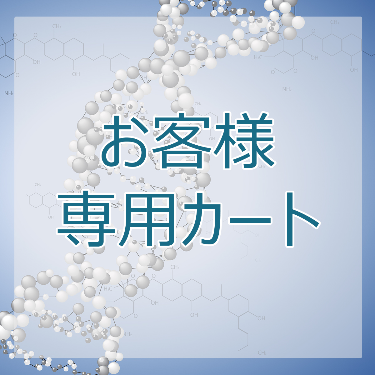お客様専用カート（国際認証 法的 DNA親子鑑定 ※海外からの検体提出を含む）