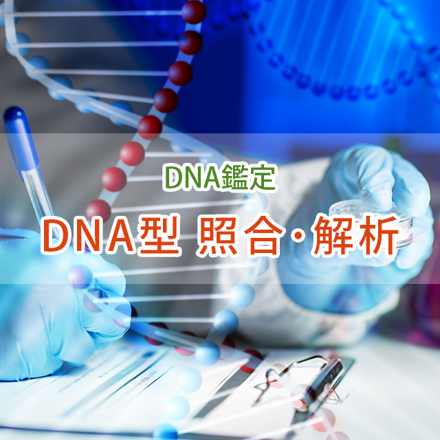 DNA型 照合・解析
